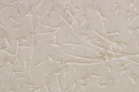 Notched And Scraped Coarse